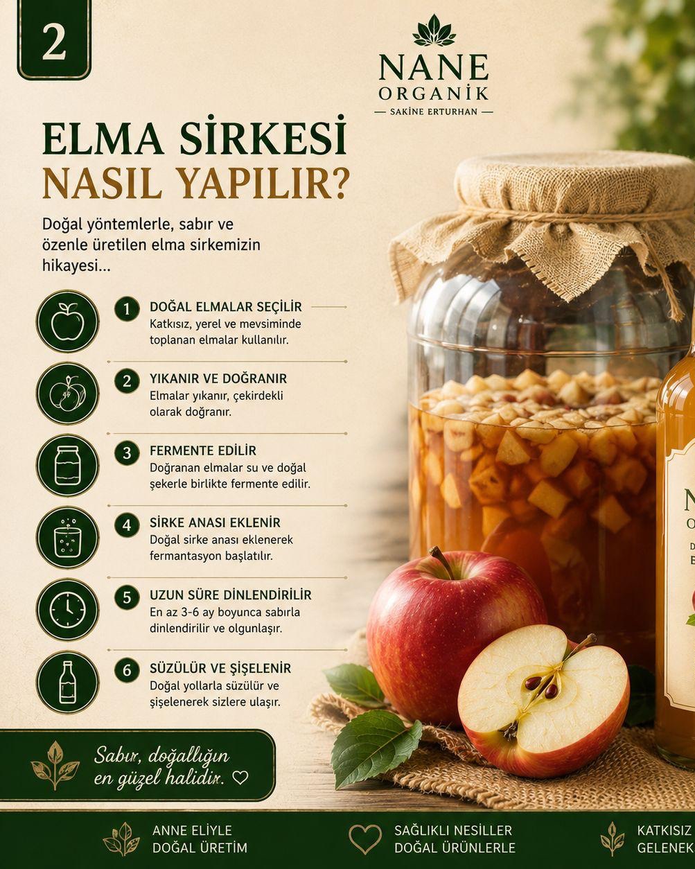Elma Sirkesi